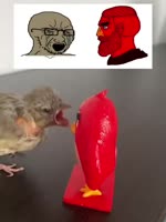 VID20250127101543184.mp4