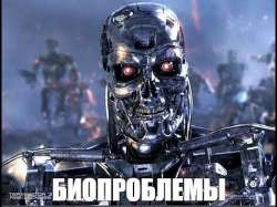 изображение2025-05-26122557218.png