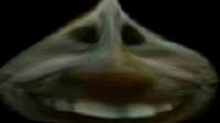 4x.png