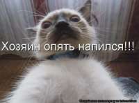 IMG3414.webp