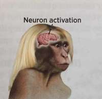 17481702280370.jpg