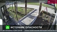 20250530 1322 - Телекомпания НТВ HD - Чрезвычайное происшествие.mp4
