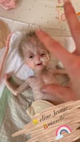 Без названия(10).mp4