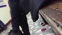 15144755713830.webm