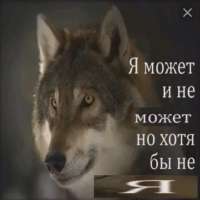IMG0564.webp