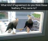 16725223306655.jpg