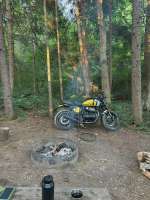 bear-650-in-its-element-v0-cv03cm1ugccf1.webp