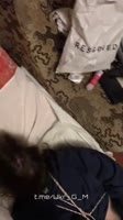 всучка2.mp4