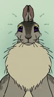 rabbitheight@itsmissnight.mp4