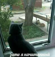 начитанный.jpg