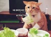 IMG6411.png
