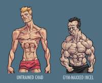 incel 3.png