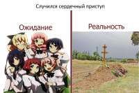 16270577186663.jpg