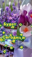 VID-20250614-WA0001.mp4