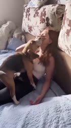 dogpill.mp4