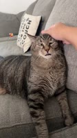 fbrc.mp4
