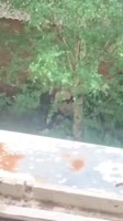 12.mp4