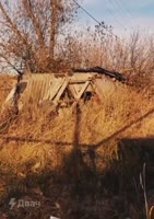17297650363940.webm