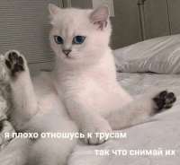 175100316491677231.jpg