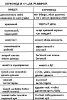 Различия между инцелом и скуфоходом.png