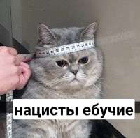 06412372.png