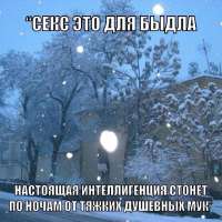 17513966595120.jpg
