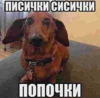 16932190000020.webp