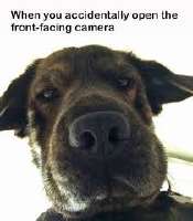 images.jpeg