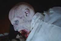 rewtrczombie.webp