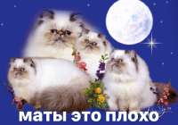маты.jpg