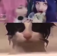 17162175010893.mp4
