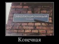 17516171722790.png