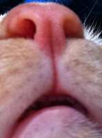 9c3da3fa6524faa4bf7a9ca7e8bc20147b34a704e79fb369b6e6058c141bd653.jpg