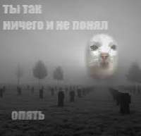 images (29).jpeg