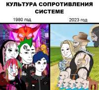 16877069587001.png