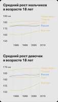 rost-stat-72mob.sudemk..webp