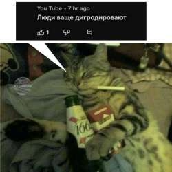 jksfVjUo1Ok.jpg