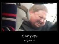 17520793373140.jpg