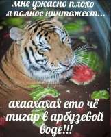 IMG20250727212908990.jpg