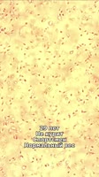 17544842108310.mp4