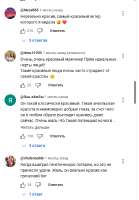степанов4.PNG