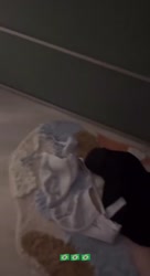 1754562718923.mp4