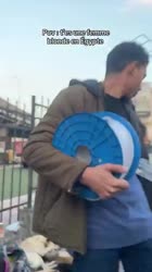 3581761492801974994.mp4