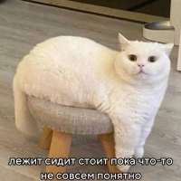 17518132805690.jpg