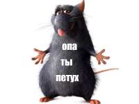 опа ты петух.png
