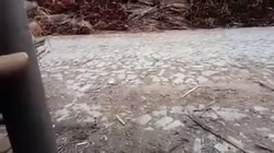 17493858478222.mp4