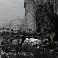 8mb.video-Yod-JNNMtiC2.mp4