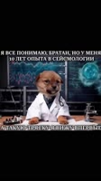 тряска #причины #тряски #мем #тикток #прикол #юмор [uNG0rqhJVEs].mp4