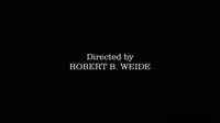 director.mp4