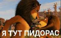 IMG0275.jpeg